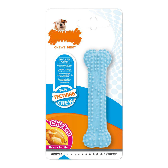 Nylabone Chicken Thermoplastic Dog Chewing Toy (Copy) - VMX PETS