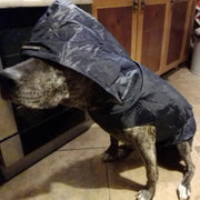 WeatherWise Pet Raincoat - VMX PETS
