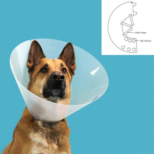 Elizabethan Dog Collar KVP Quick Fit Transparent (27-31 cm) - VMX PETS