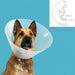 Elizabethan Dog Collar KVP Quick Fit Transparent (39-48 cm) - VMX PETS