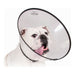 Elizabethan Dog Collar KVP Saf-T-Clear Transparent (17-30 cm) - VMX PETS