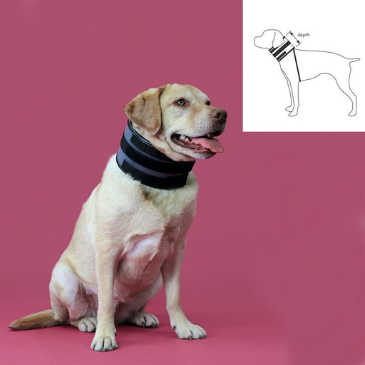 Cervical Collar for Dogs KVP Black (20-64 cm) - VMX PETS