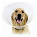 Elizabethan Dog Collar KVP Check Transparent (23-32 cm) - VMX PETS