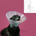 Elizabethan Dog Collar KVP Betsy Transparent (39-48 cm) - VMX PETS