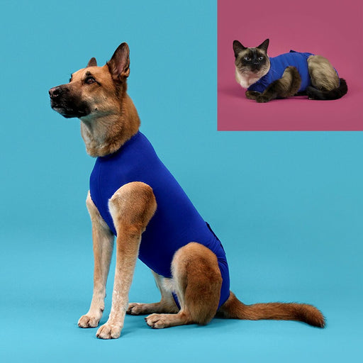Recovery Vest for Pets KVP Blue 35-43 cm - VMX PETS