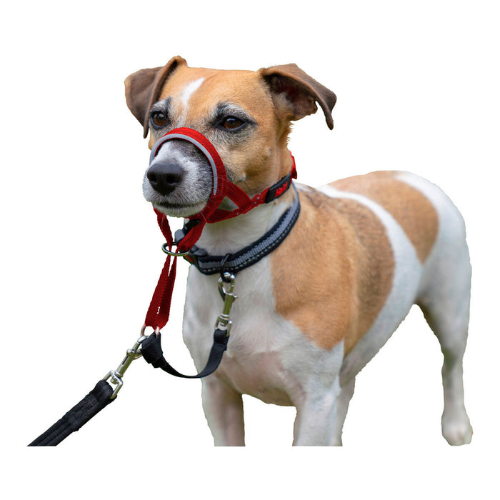 Dog Training Collars Company of Animals Halti Muzzle - VMX PETS