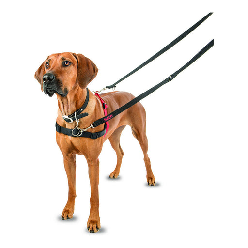 Dog Harness Company of Animals Halti Black/Red L (80-120 cm) - VMX PETS