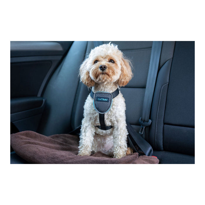 Dog Harness Company of Animals CarSafe Black L - VMX PETS