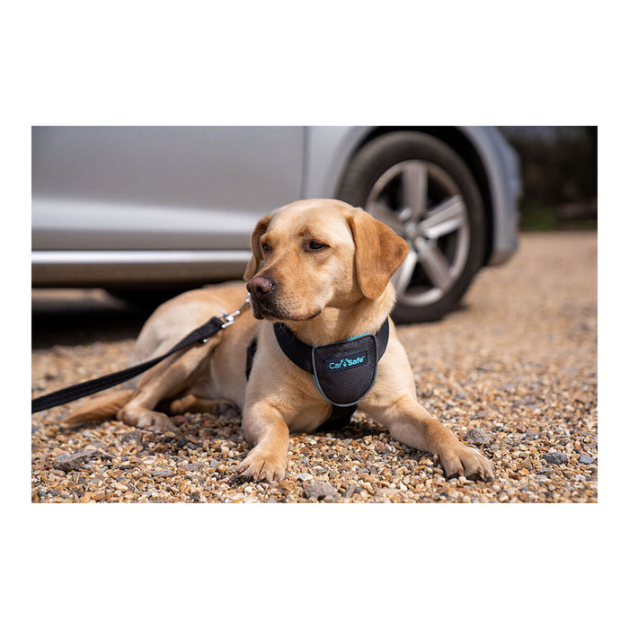 Dog Harness Company of Animals CarSafe Black L - VMX PETS