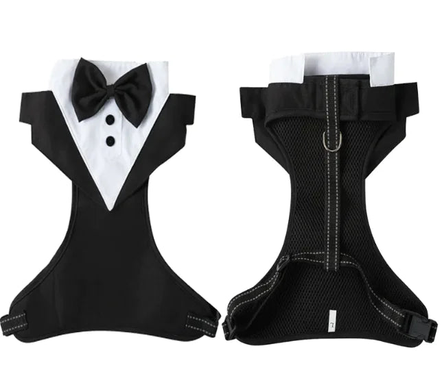 Anti-Break Escape-Proof Pet Harness & Leash Set - VMX PETS - VMX PETS