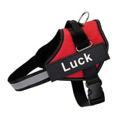 K9 Pet Leash and Harness - VMX PETS - VMX PETS