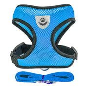 Pet Harness - VMX PETS - VMX PETS