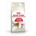 Dry Cat Food Royal Canin Adult (Copy) - VMX PETS