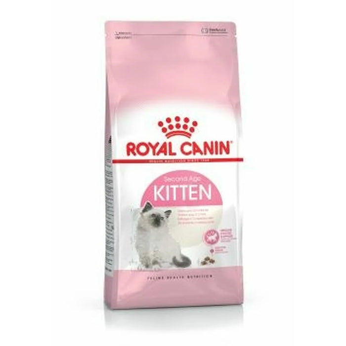 Dry Cat Food Royal Canin Kitten (Copy) - VMX PETS