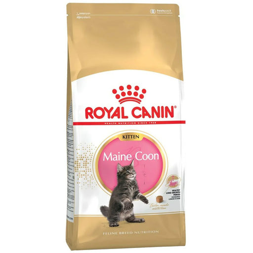 Dry Cat Food Royal Canin Kitten (Copy) - VMX PETS