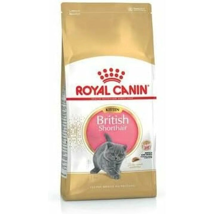 Dry Cat Food Royal Canin Kitten (Copy) - VMX PETS