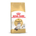 Dry Cat Food Royal Canin Adult (Copy) - VMX PETS