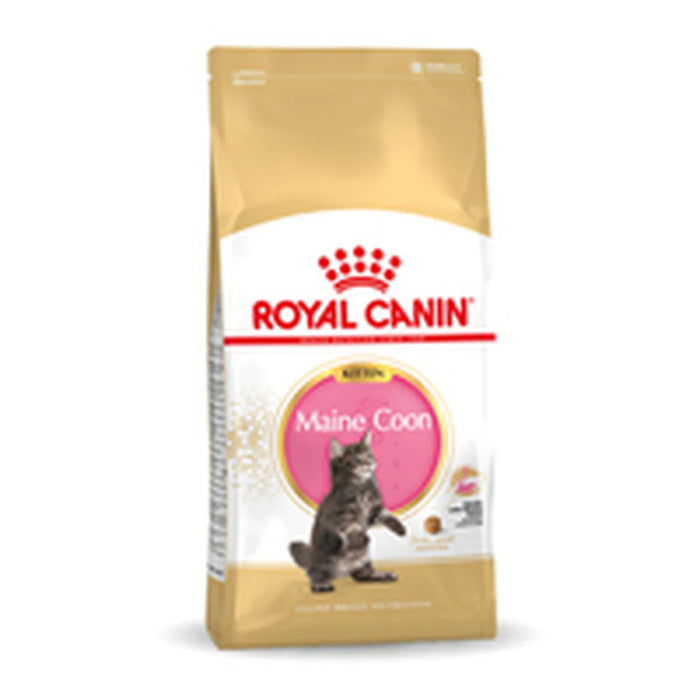 Dry Cat Food Royal Canin Kitten (Copy) - VMX PETS