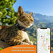 Anti-loss Localiser Weenect Weenect XS GPS Black - VMX PETS