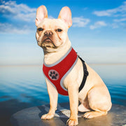 Comfortable Breathable Harness For Your Pet - VMX PETS - VMX PETS