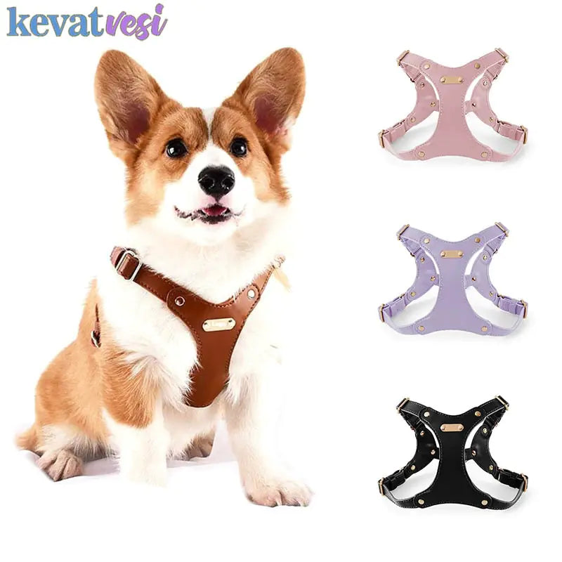 Adjustable Leather Pet Harness Vest - VMX PETS - VMX PETS