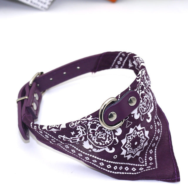 Chic PU Leather Pet Collar - VMX PETS