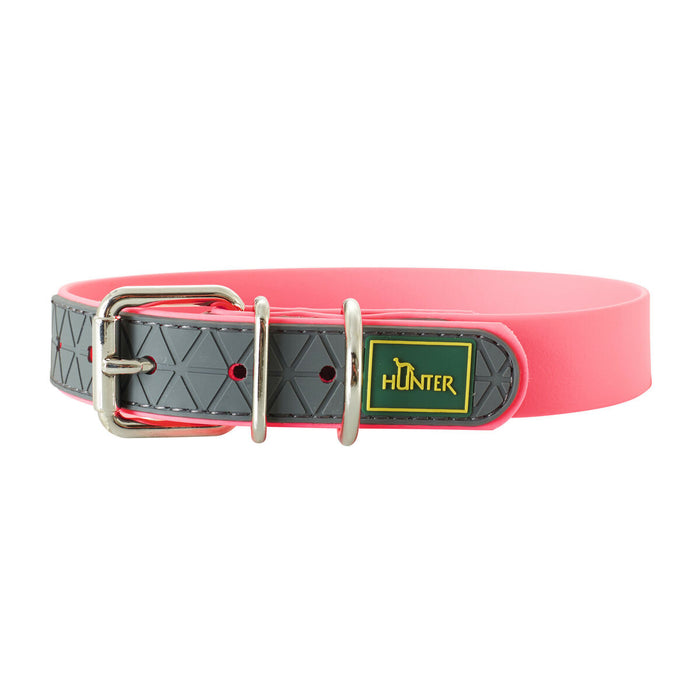 Hunter Convenience Dog Collar - VMX PETS