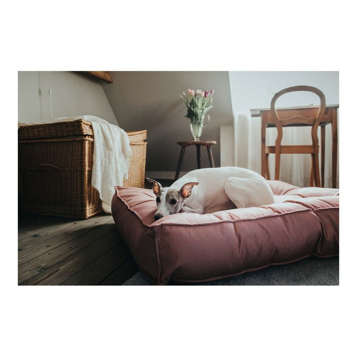 Hunter LANCASTER Bed for Dogs (Copy) - VMX PETS