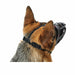 Muzzle Hunter Albury Black Size 1 (45 cm) (21 cm) (5 cm) - VMX PETS