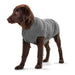 Malmö Hunter Dog Jumper (Copy) - VMX PETS