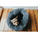 Hunter MIRANDA Dog Bed (Copy) - VMX PETS