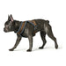 Dog Harness Hunter London Comfort 52-62 cm Brown Size S/M - VMX PETS