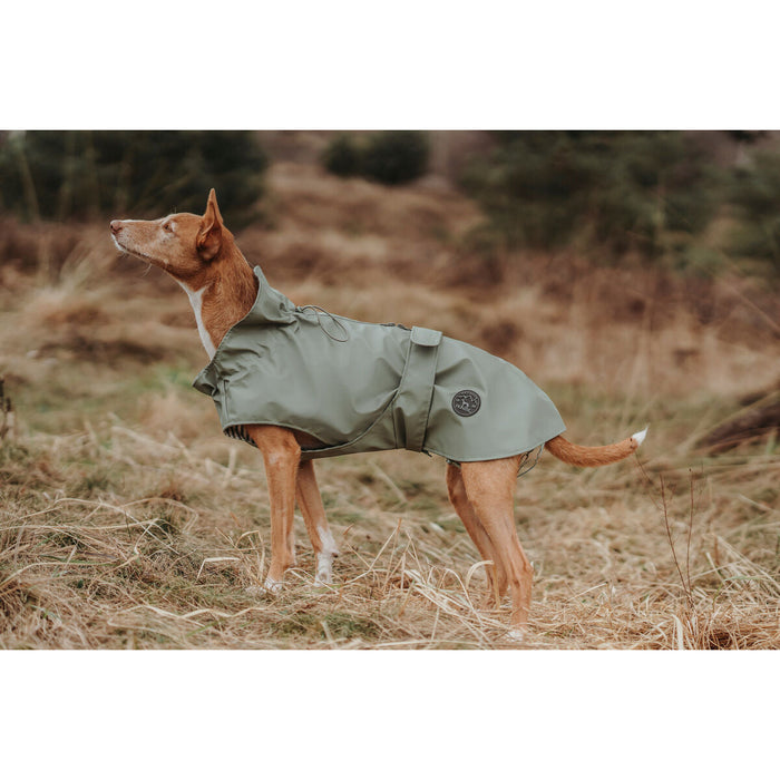 Hunter Milford Dog Coat (Copy) - VMX PETS