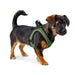 Dog Harness Hunter Comfort Green XS 35-37 cm - VMX PETS