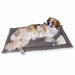 Kerbl Dog Bed (Copy) - VMX PETS - Kerbl