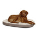 Kerbl Dog Bed (Copy) - VMX PETS - Kerbl