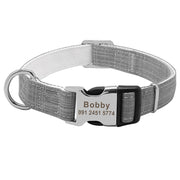 Custom Engraved Nylon Dog Collar - VMX PETS