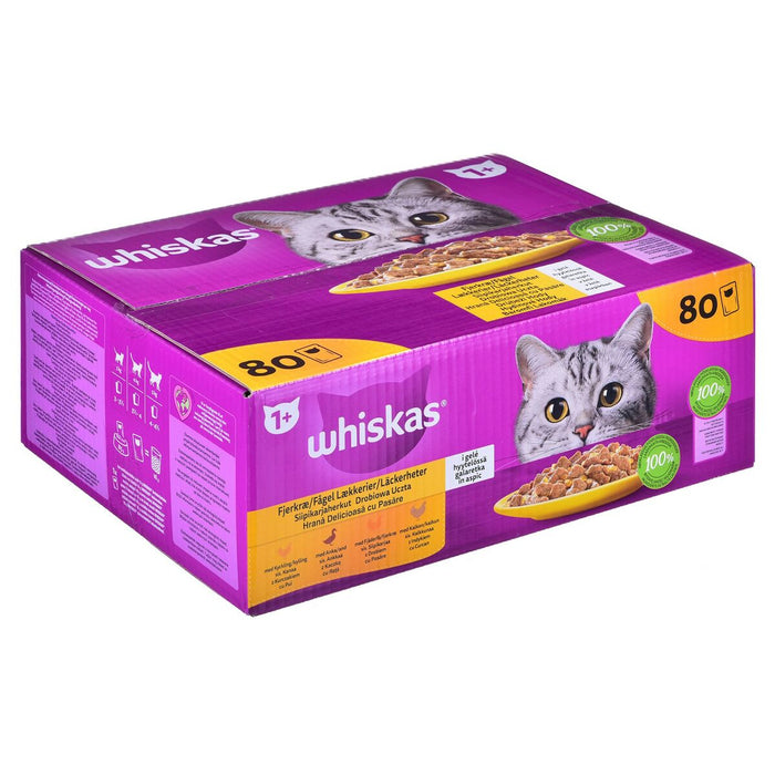 Chicken Turkey Duck Birds Whiskas Cat Food (Copy) - VMX PETS