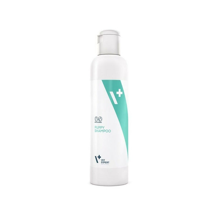 VETEXPERT Cats Shampoo (Copy) - VMX PETS - VETEXPERT