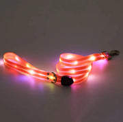 Rechargeable LED Pet Collar with Nylon Leash - VMX PETS - VMX PETS