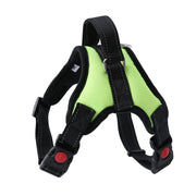 Pet Walking Harness Adjustable Comfort - VMX PETS - VMX PETS