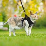 Cozy Cat Pet Harness And Leash - VMX PETS - VMX PETS