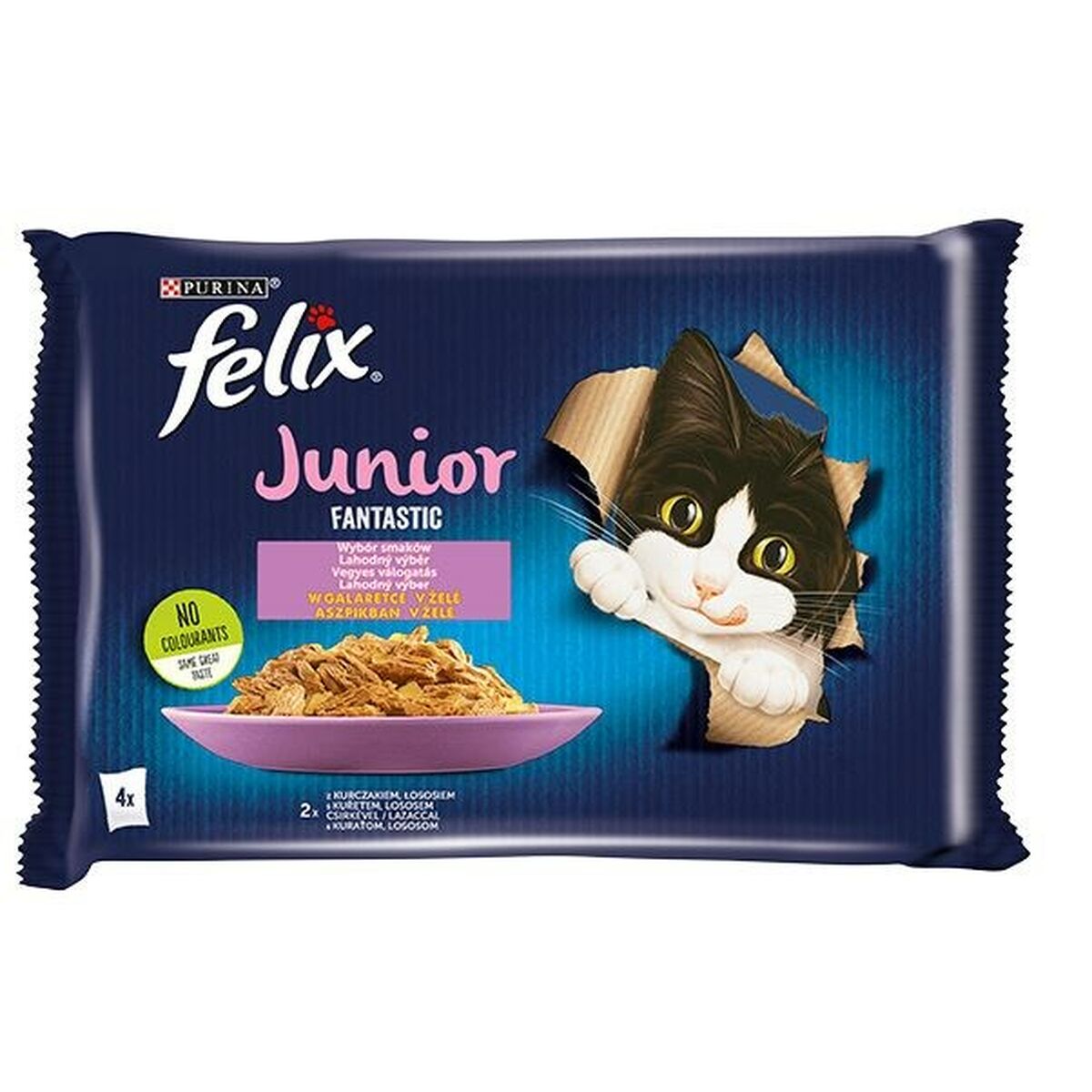 Cat Wet Food