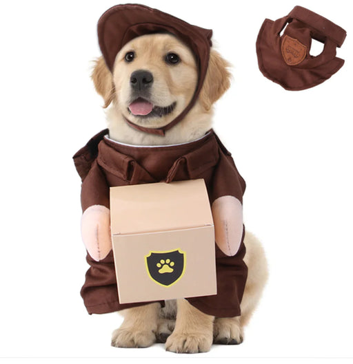 Pet Courier Standing Clothing – Funny Outing Clothes - VMX PETS - VMX PETS