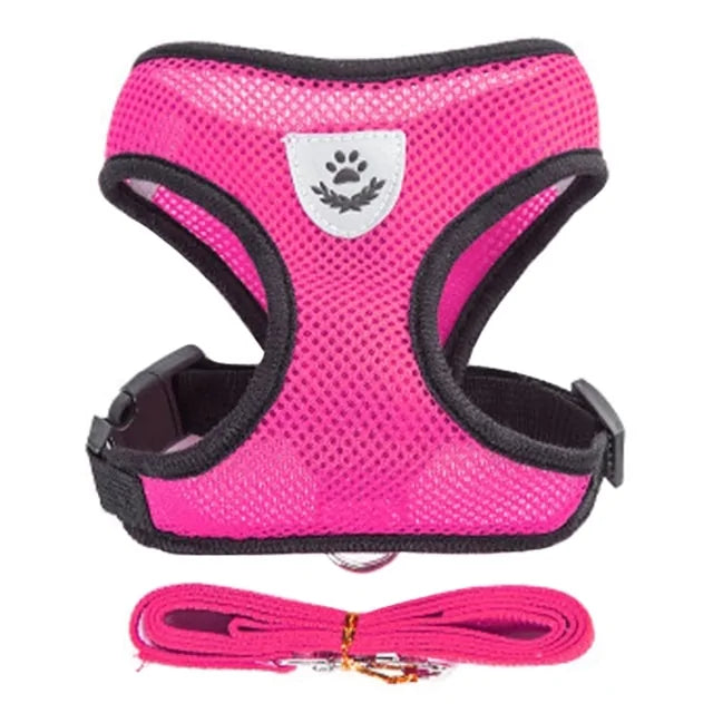 Pet Harness - VMX PETS - VMX PETS