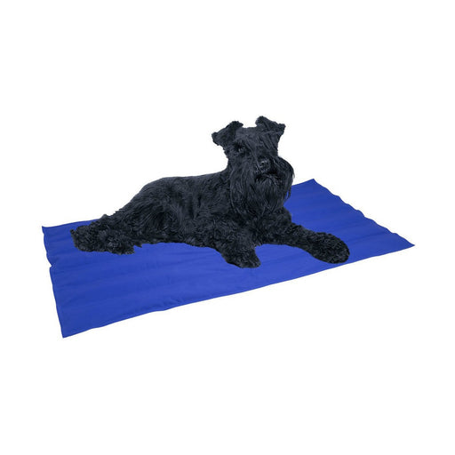 Nayeco Acrylic Cooling Gel Dog Blue Carpet (Copy) - VMX PETS