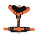 Nayeco x-trm Pet Harness (Copy) - VMX PETS