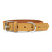 Dog collar Gloria Oasis Yellow (65 x 3 cm) - VMX PETS