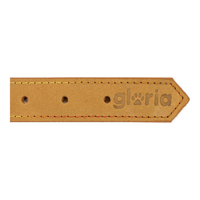 Dog collar Gloria Oasis Yellow (65 x 3 cm) - VMX PETS