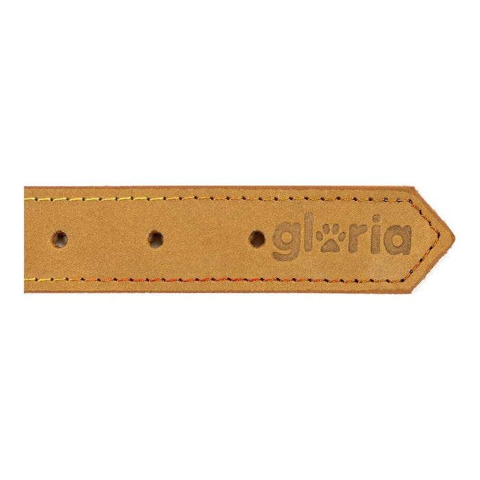 Dog collar Gloria Oasis Yellow (70 x 3 cm) - VMX PETS